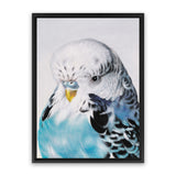 Shop Henry The Budgerigar Canvas Art Print-Animals, Birds, Blue, Portrait, Rectangle, View All-framed wall decor artwork