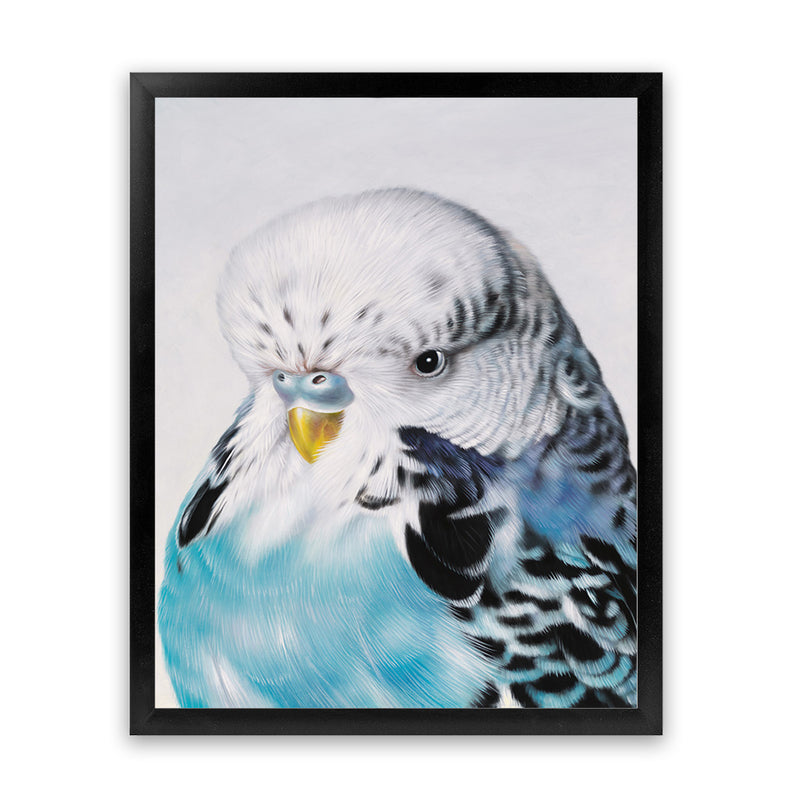 Shop Henry The Budgerigar Art Print-Animals, Birds, Blue, Portrait, Rectangle, View All-framed painted poster wall decor artwork