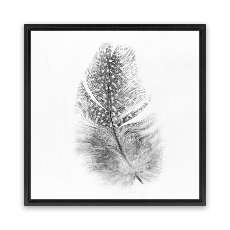 Shop Feather (Square) Canvas Art Print-Birds, Grey, Scandinavian, Square, View All, White-framed wall decor artwork