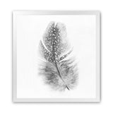Shop Feather (Square) Art Print-Birds, Grey, Hamptons, Scandinavian, Square, View All, White-framed painted poster wall decor artwork