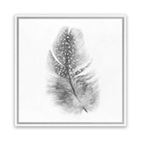 Shop Feather (Square) Canvas Art Print-Birds, Grey, Scandinavian, Square, View All, White-framed wall decor artwork