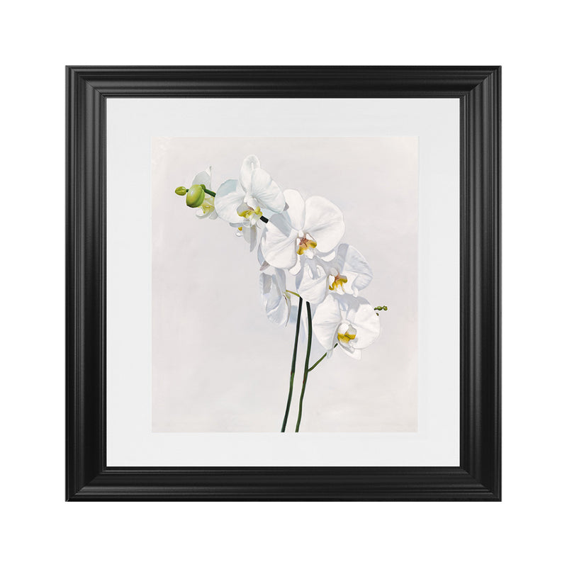 Shop White Orchid Stems (Square) Art Print-Botanicals, Florals, Hamptons, Neutrals, Square, View All, White-framed painted poster wall decor artwork