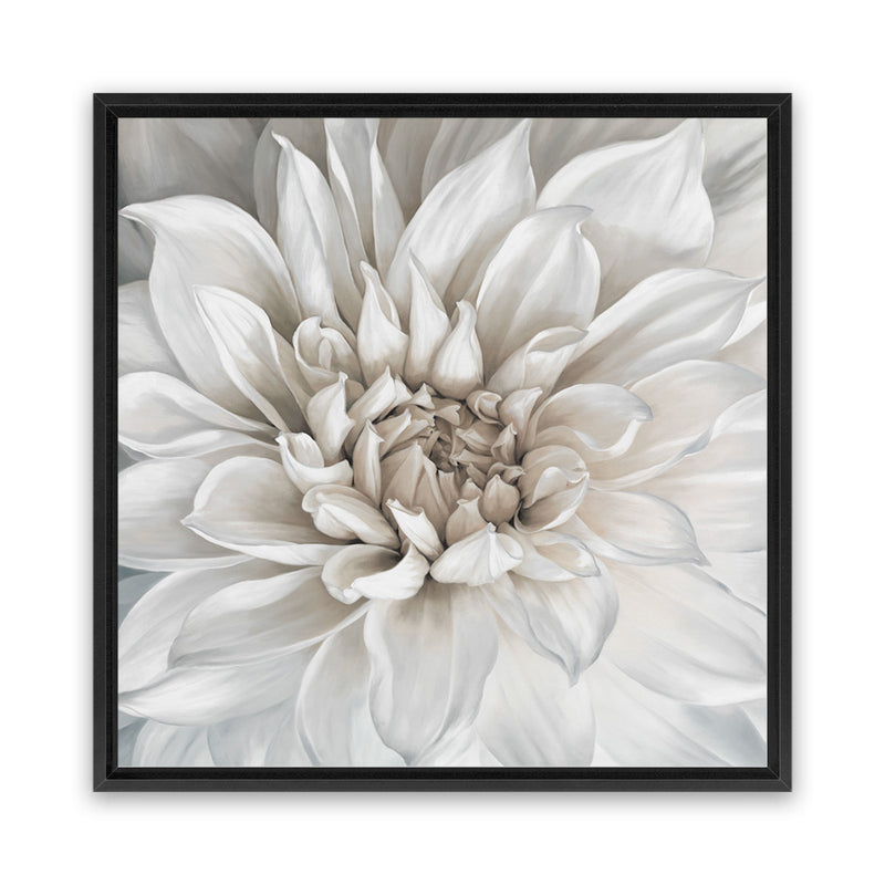 Shop White Dahlia (Square) Canvas Art Print-Botanicals, Florals, Square, View All, White-framed wall decor artwork