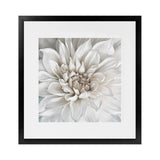 Shop White Dahlia (Square) Art Print-Botanicals, Florals, Square, View All, White-framed painted poster wall decor artwork
