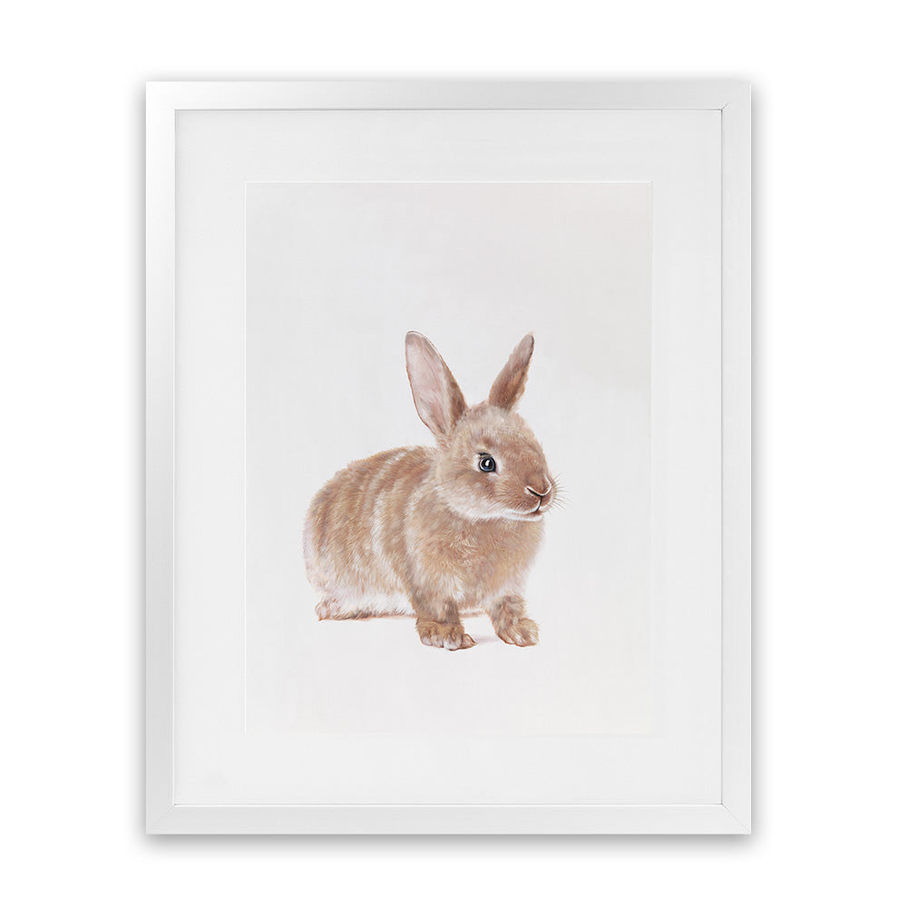 Buy Baby Rabbit Art Print | The Print Emporium®