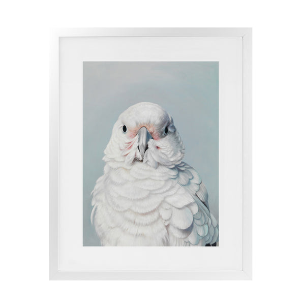 Shop Milly The Umbrella Cockatoo Art Print-Animals, Birds, Blue, Portrait, Rectangle, View All, White-framed painted poster wall decor artwork