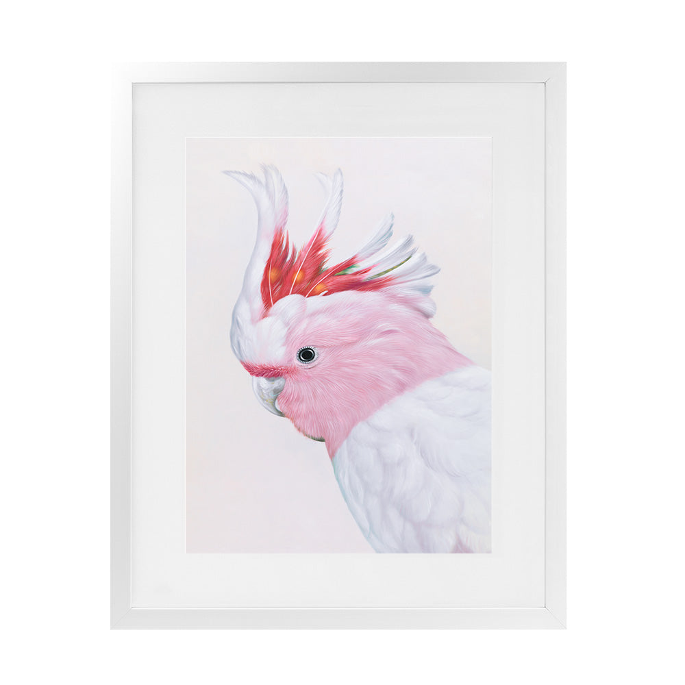 Buy Matilda The Major Mitchell Cockatoo Wall Art Print | The Print ...