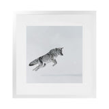Shop Snow Fox (Square) Art Print-Animals, Baby Nursery, Grey, Neutrals, Scandinavian, Square, View All-framed painted poster wall decor artwork