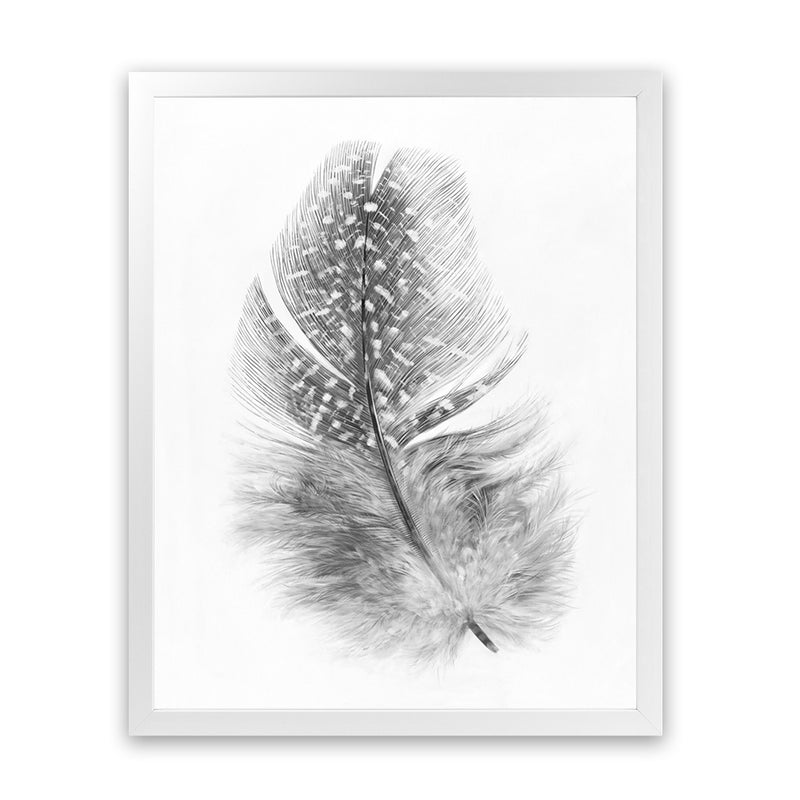 Shop Feather Art Print-Birds, Grey, Portrait, Rectangle, Scandinavian, View All, White-framed painted poster wall decor artwork