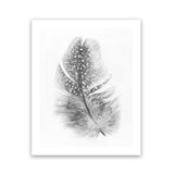 Shop Feather Art Print-Birds, Grey, Portrait, Rectangle, Scandinavian, View All, White-framed painted poster wall decor artwork