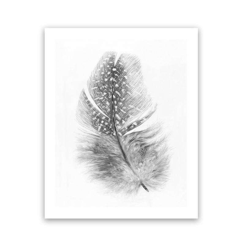 Shop Feather Art Print-Birds, Grey, Portrait, Rectangle, Scandinavian, View All, White-framed painted poster wall decor artwork