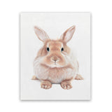 Shop Baby Rabbit II Art Print-Animals, Baby Nursery, Brown, Neutrals, Portrait, View All-framed painted poster wall decor artwork