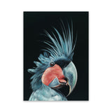 Shop Frankie The Palm Cockatoo Canvas Art Print-Animals, Baby Nursery, Birds, Black, Blue, Portrait, Rectangle, View All-framed wall decor artwork