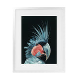 Shop Frankie The Palm Cockatoo Art Print-Animals, Baby Nursery, Birds, Black, Blue, Portrait, Rectangle, View All-framed painted poster wall decor artwork