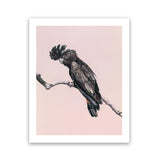 Shop George The Black Cockatoo (Pink) Art Print-Animals, Baby Nursery, Birds, Black, Pink, Portrait, Rectangle, View All-framed painted poster wall decor artwork