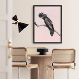 Shop George The Black Cockatoo (Pink) Canvas Art Print-Animals, Birds, Black, Pink, Portrait, Rectangle, View All-framed wall decor artwork