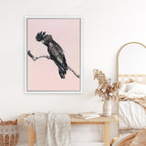 Shop George The Black Cockatoo (Pink) Canvas Art Print-Animals, Birds, Black, Pink, Portrait, Rectangle, View All-framed wall decor artwork