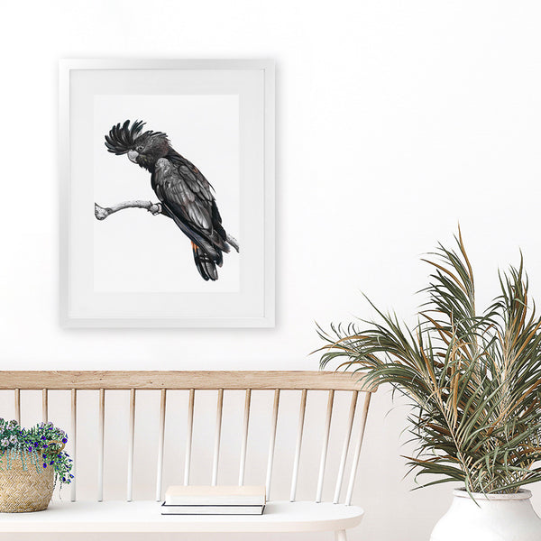 black and white paintings of birds
