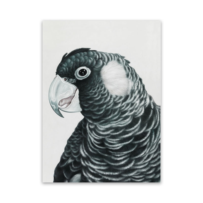 Shop Jimmy The Black Cockatoo Canvas Art Print-Animals, Birds, Black, Grey, Portrait, Rectangle, View All-framed wall decor artwork