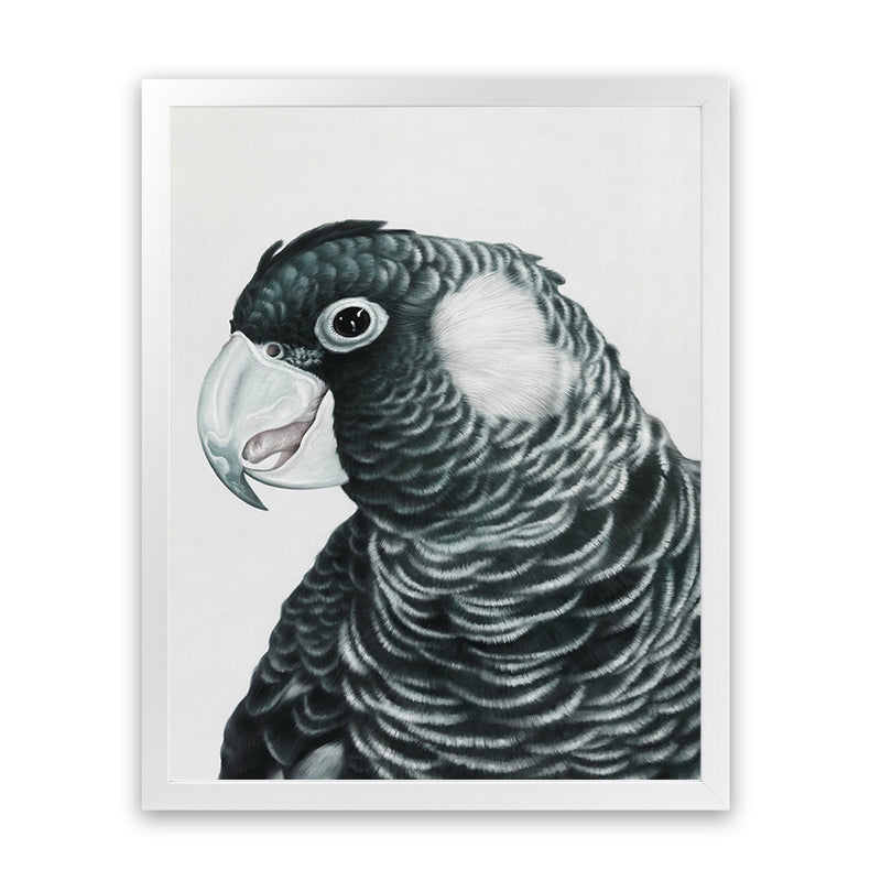 Shop Jimmy The Black Cockatoo Art Print-Animals, Birds, Black, Grey, Portrait, Rectangle, View All-framed painted poster wall decor artwork