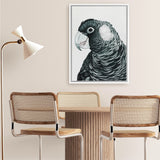 Shop Jimmy The Black Cockatoo Canvas Art Print-Animals, Birds, Black, Grey, Portrait, Rectangle, View All-framed wall decor artwork