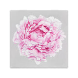 Shop Pink Peony (Square) Canvas Art Print-Botanicals, Florals, Grey, Pink, Square, View All-framed wall decor artwork