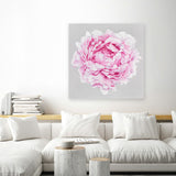 Shop Pink Peony (Square) Canvas Art Print-Botanicals, Florals, Grey, Pink, Square, View All-framed wall decor artwork