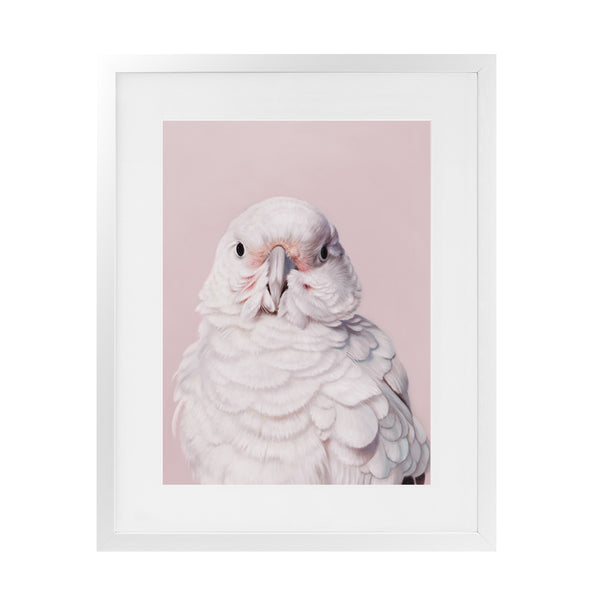 Shop Milly The Umbrella Cockatoo - Pink Art Print-Animals, Baby Nursery, Birds, Pink, Portrait, View All-framed painted poster wall decor artwork