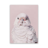 Shop Milly The Umbrella Cockatoo - Pink Canvas Art Print-Animals, Baby Nursery, Birds, Pink, Portrait, View All-framed wall decor artwork