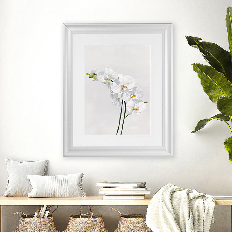 Shop White Orchid Stems Art Print-Botanicals, Florals, Portrait, Rectangle, View All, White-framed painted poster wall decor artwork