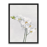 Shop White Orchid Stems Canvas Art Print-Botanicals, Florals, Portrait, Rectangle, View All, White-framed wall decor artwork