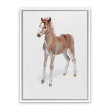 Shop Baby Foal Canvas Art Print-Animals, Baby Nursery, Brown, Photography, Photography Canvas Prints, Portrait, View All-framed wall decor artwork