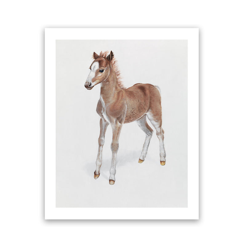 Shop Baby Foal Art Print-Animals, Baby Nursery, Brown, Photography, Portrait, View All-framed painted poster wall decor artwork