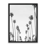Shop California Palms B&W Canvas Art Print-Black, Coastal, Grey, Portrait, Rectangle, Tropical, View All, White-framed wall decor artwork