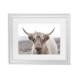 Shop Highland Cow II Photo Art Print-Animals, Grey, Horizontal, Landscape, Neutrals, Photography, Rectangle, View All-framed poster wall decor artwork