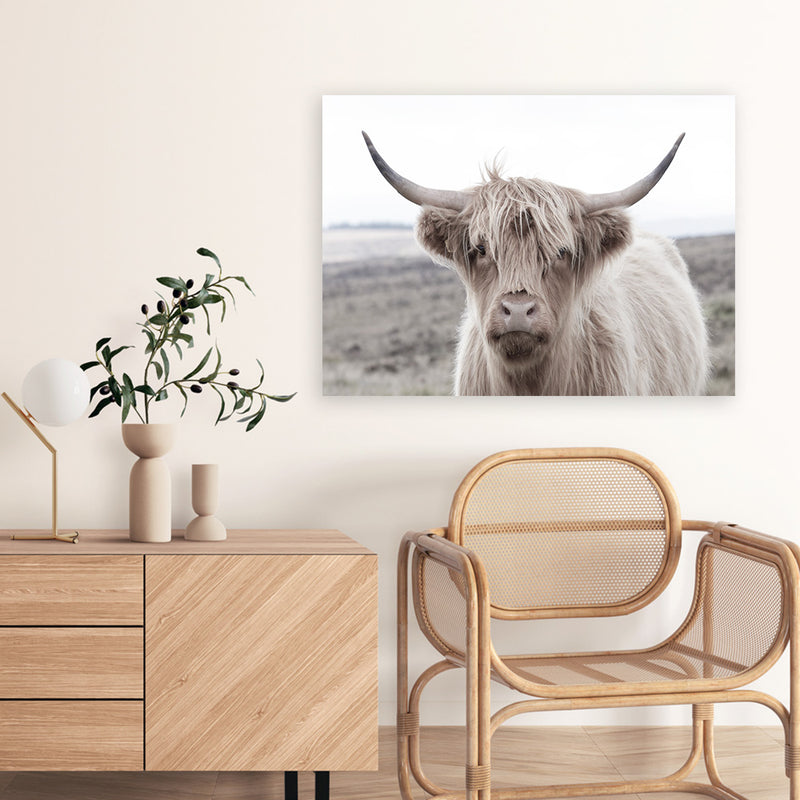 Shop Highland Cow II Photo Canvas Art Print-Animals, Grey, Horizontal, Landscape, Neutrals, Photography, Photography Canvas Prints, Rectangle, View All-framed wall decor artwork