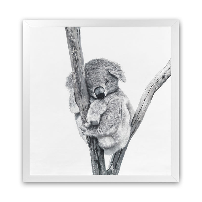 Buy Sleeping Koala Square Art Print