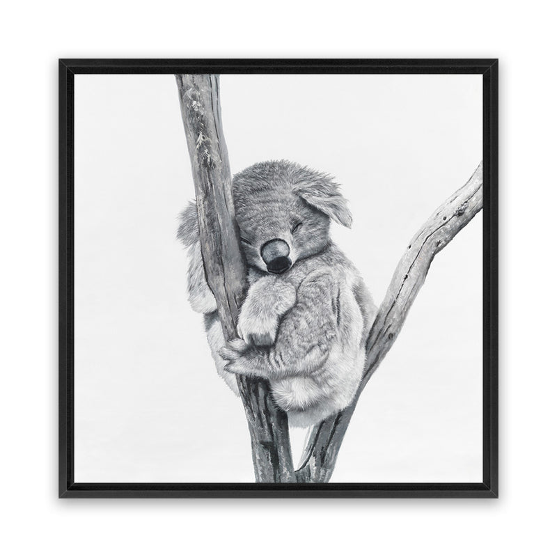 Shop Sleeping Koala (Square) Canvas Art Print-Animals, Grey, Square, View All, White-framed wall decor artwork
