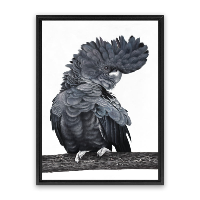 Shop Theo The Black Cockatoo Canvas Art Print-Animals, Birds, Black, Grey, Portrait, Rectangle, View All-framed wall decor artwork