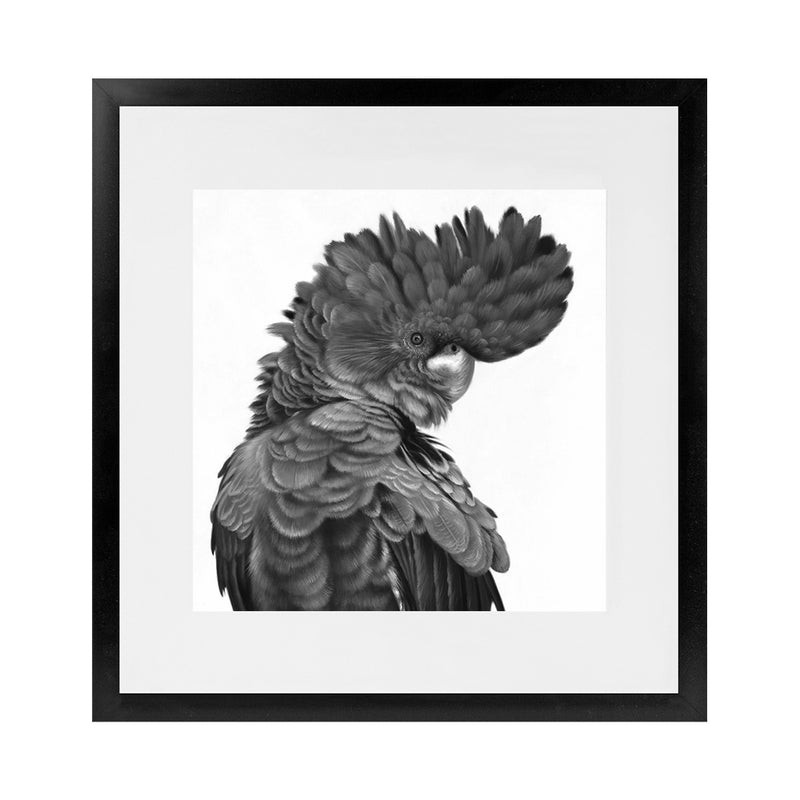 Shop Theo The Black Cockatoo B&W (Square) Art Print-Animals, Birds, Black, Square, View All-framed painted poster wall decor artwork