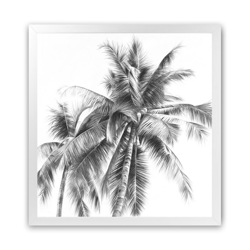 Shop Summer Palms I B&W (Square) Art Print-Black, Coastal, Grey, Square, Tropical, View All, White-framed painted poster wall decor artwork