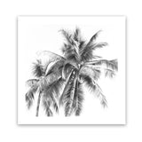 Shop Summer Palms I B&W (Square) Art Print-Black, Coastal, Grey, Square, Tropical, View All, White-framed painted poster wall decor artwork