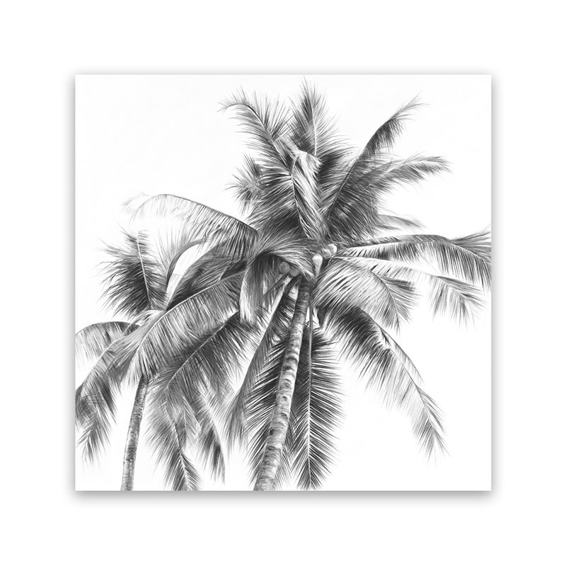 Shop Summer Palms I B&W (Square) Canvas Art Print-Black, Grey, Square, Tropical, View All, White-framed wall decor artwork