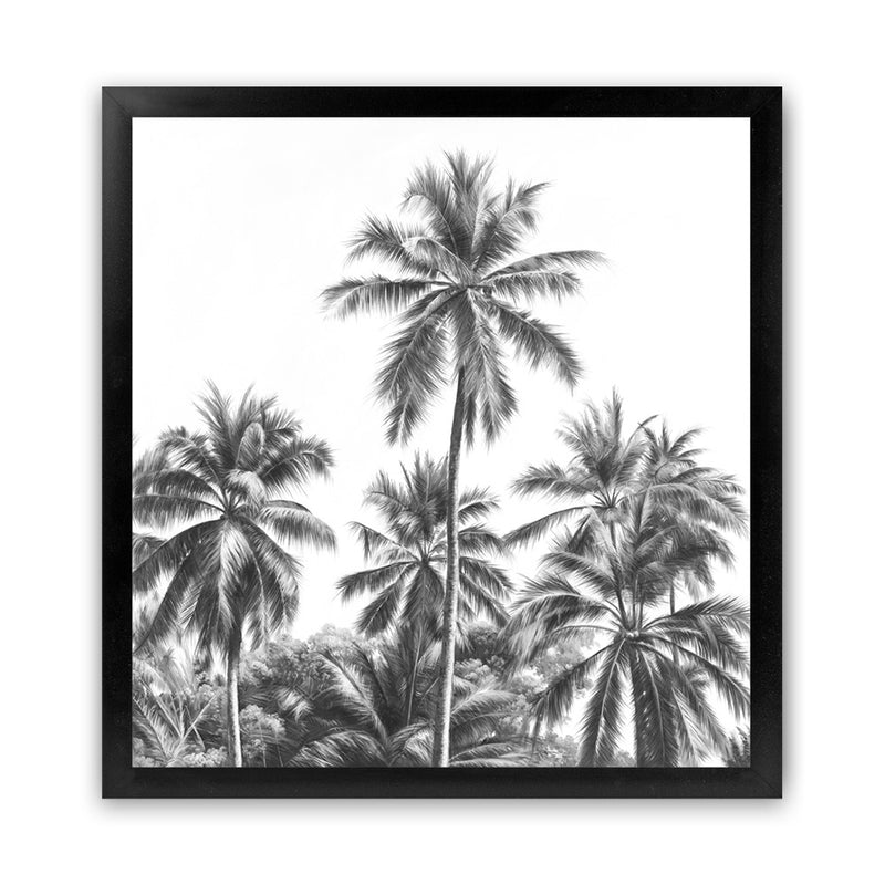 Shop Summer Palms II B&W (Square) Art Print-Black, Coastal, Grey, Square, Tropical, View All-framed painted poster wall decor artwork