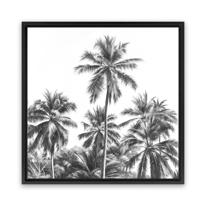 Shop Summer Palms II B&W (Square) Canvas Art Print-Black, Coastal, Grey, Square, Tropical, View All-framed wall decor artwork