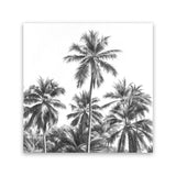 Shop Summer Palms II B&W (Square) Canvas Art Print-Black, Coastal, Grey, Square, Tropical, View All-framed wall decor artwork