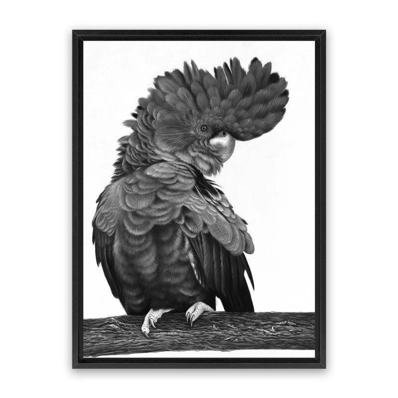 Shop Theo The Black Cockatoo (B&W) Canvas Art Print-Animals, Birds, Black, Portrait, Rectangle, View All-framed wall decor artwork