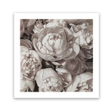 Shop White Peony Buds (Square) Art Print-Botanicals, Florals, Neutrals, Square, View All, White-framed painted poster wall decor artwork