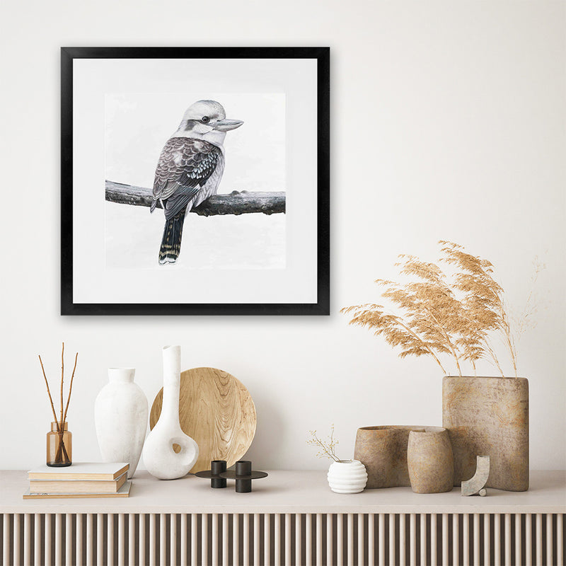 Shop Kookaburra On A Branch (Square) Art Print-Animals, Birds, Black, Grey, Square, View All, White-framed painted poster wall decor artwork