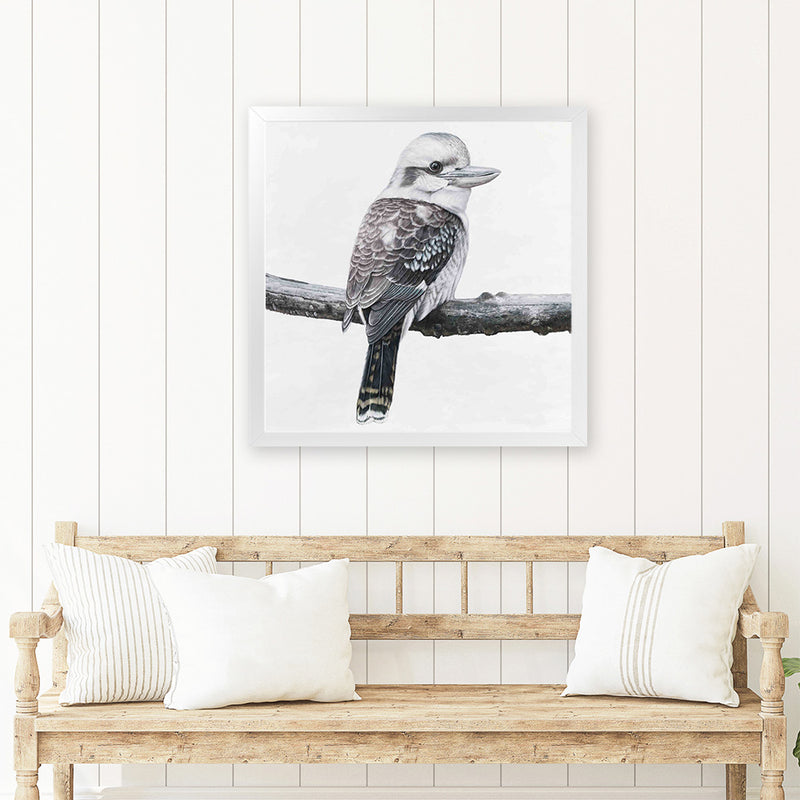 Shop Kookaburra On A Branch (Square) Art Print-Animals, Birds, Black, Grey, Square, View All, White-framed painted poster wall decor artwork